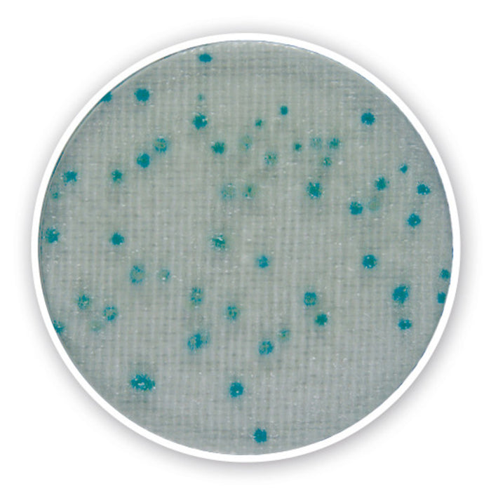 Compact Dry X-BC, steril, für die Mikrobiologie (240 Stk.)