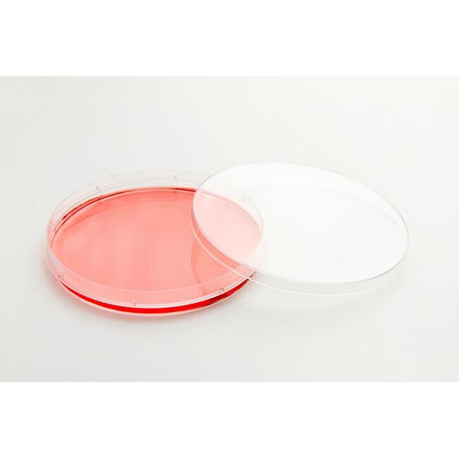 Thermo Scientific Nunc EasYDish Schalen steril [80 Stk.]