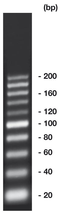 20 bp-DNA-Leiter, ready-to-use, nicht vorgefärbt (500 µl)