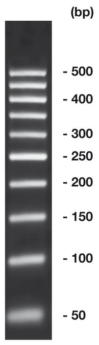 50 bp-DNA-Leiter, ready-to-use, nicht vorgefärbt (500 µl)