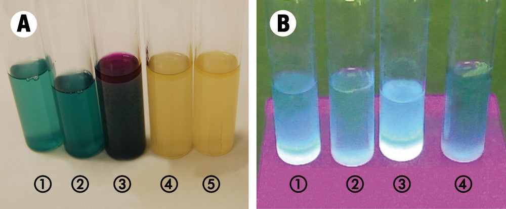 Coli Fluoro-Medium, für die Mikrobiologie (100 g)