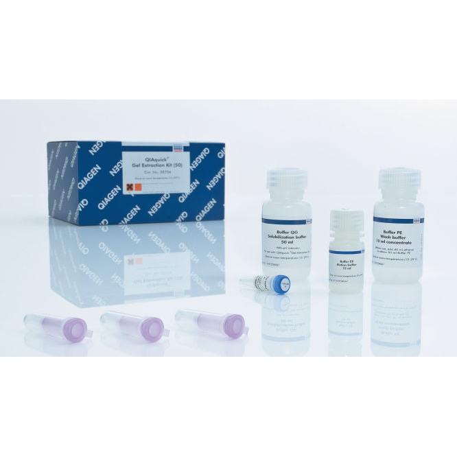Qiagen QIAquick Gel Extraction Kit (250) von bis zu 10 µg DNA (70 bp bis 10 kb) [1 Stk.]