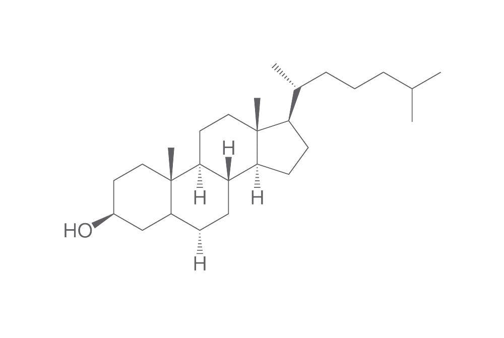 5-alpha-Cholestan-3beta-ol, min. 95 % (10 g)