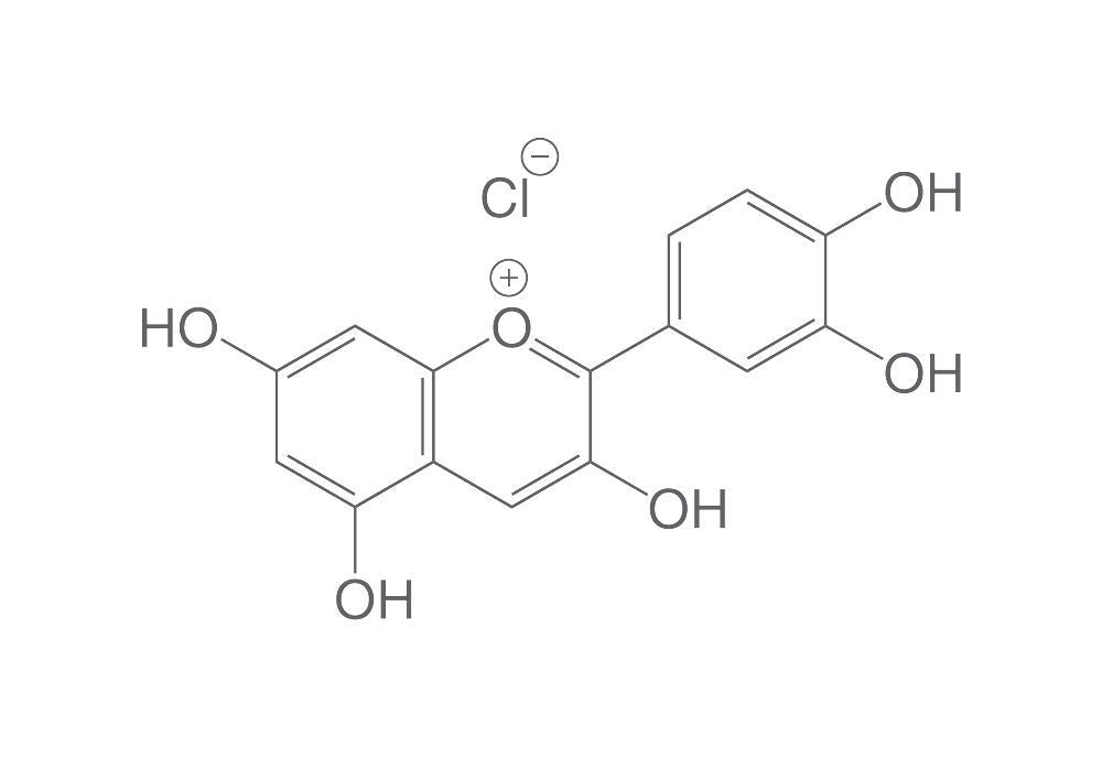 Cyanidinchlorid, ROTICHROM® HPLC (10 mg)