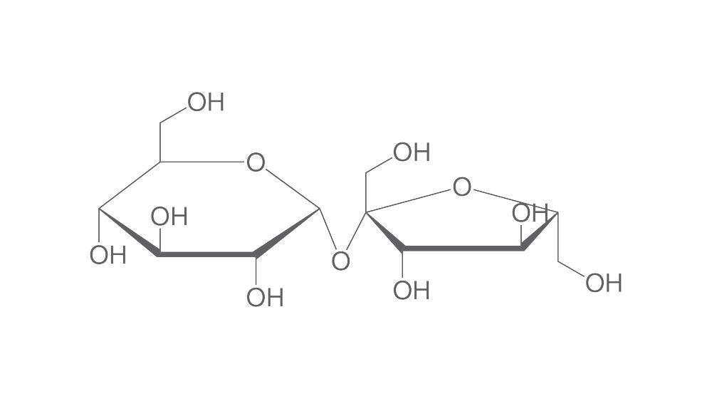 D(+)-Saccharose, min. 99,5 %, RNase/DNase frei (5 kg)