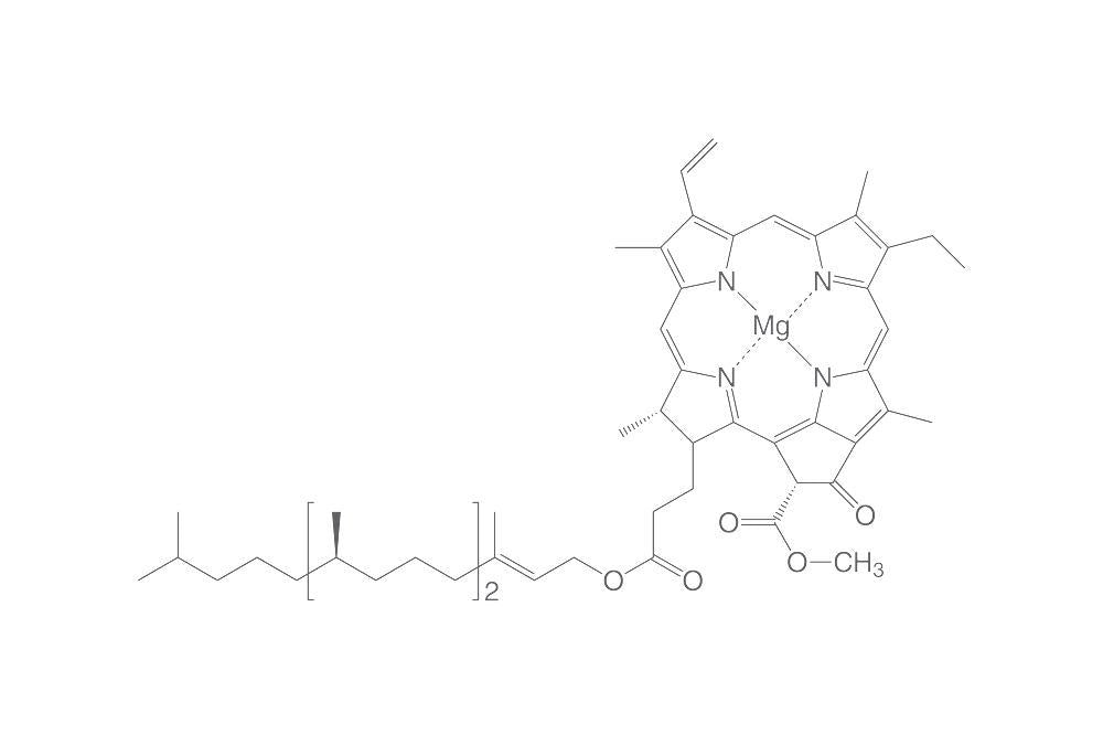 Chlorophyll A, pulv. (5 mg)