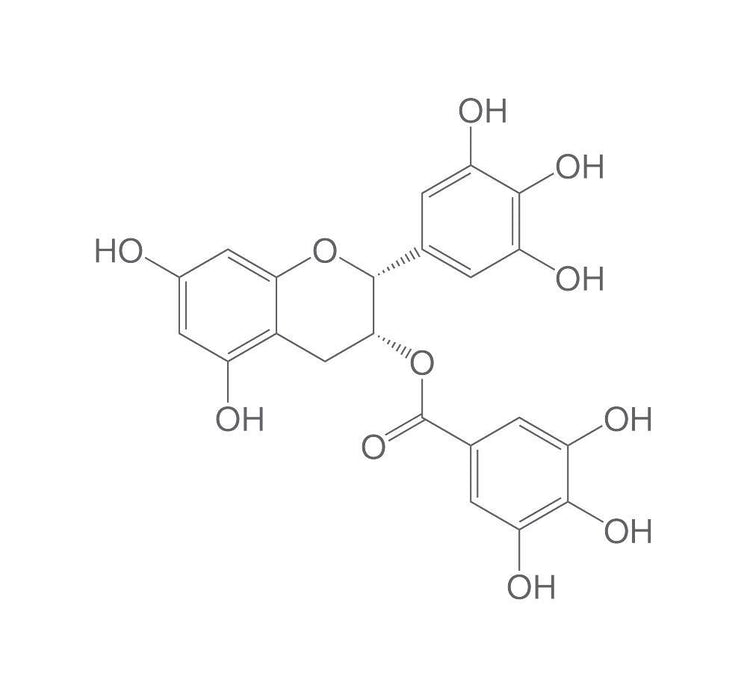 (-)-Epigallocatechingallat, ROTICHROM® HPLC (10 mg)