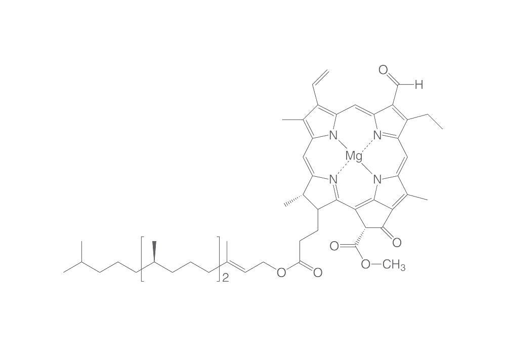Chlorophyll B, ROTICHROM® CHR min. 90 %, pulv. (5 mg)