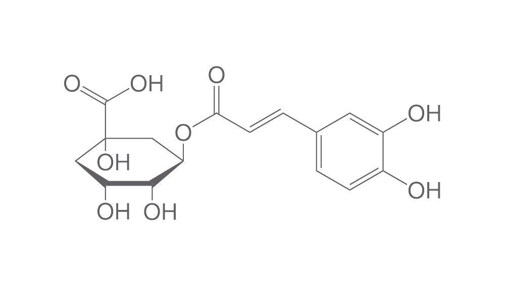 Chlorogensäure, ROTICHROM® Working Standard (100 mg)