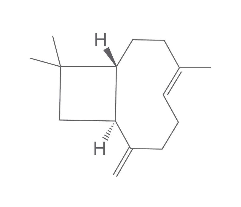 beta-Caryophyllen, ROTICHROM® GC (100 mg)