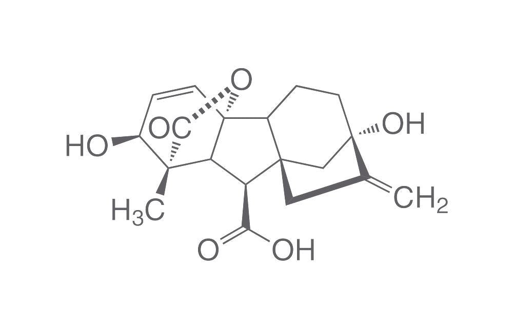 Gibberellinsäure, ROTICHROM® CHR 90 %, für die Biochemie (250 mg)