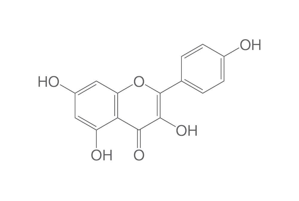 Kämpferol, ROTICHROM® CHR (500 mg)