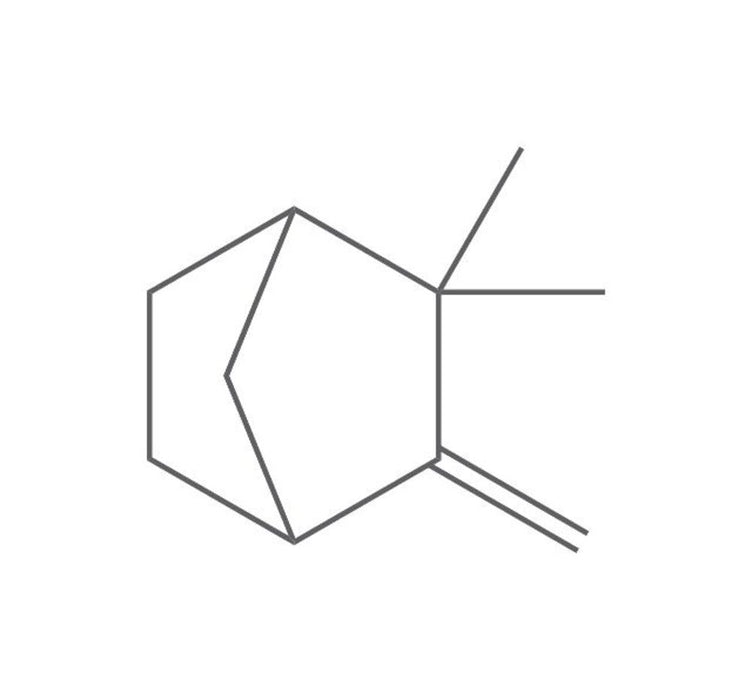 Camphen, ROTICHROM® GC (100 mg)