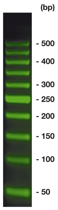 50 bp-DNA-Leiter SYBR Green, ready-to-use, vorgefärbt (500 µl)
