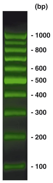 100 bp-DNA-Leiter SYBR Green, ready-to-use, vorgefärbt (500 µl)