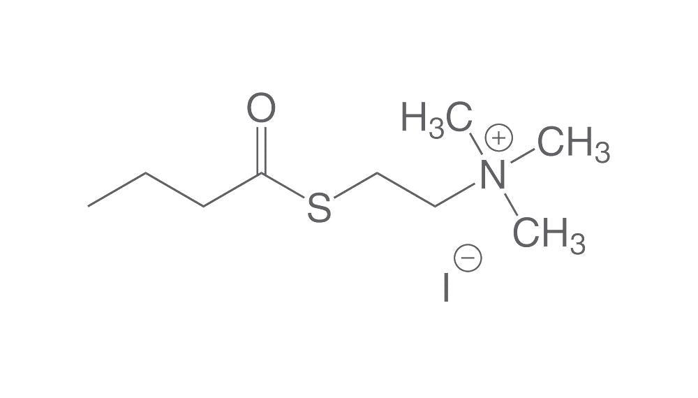 2-Butyrylthiocholiniodid, min. 99 %, für die Biochemie (10 g)