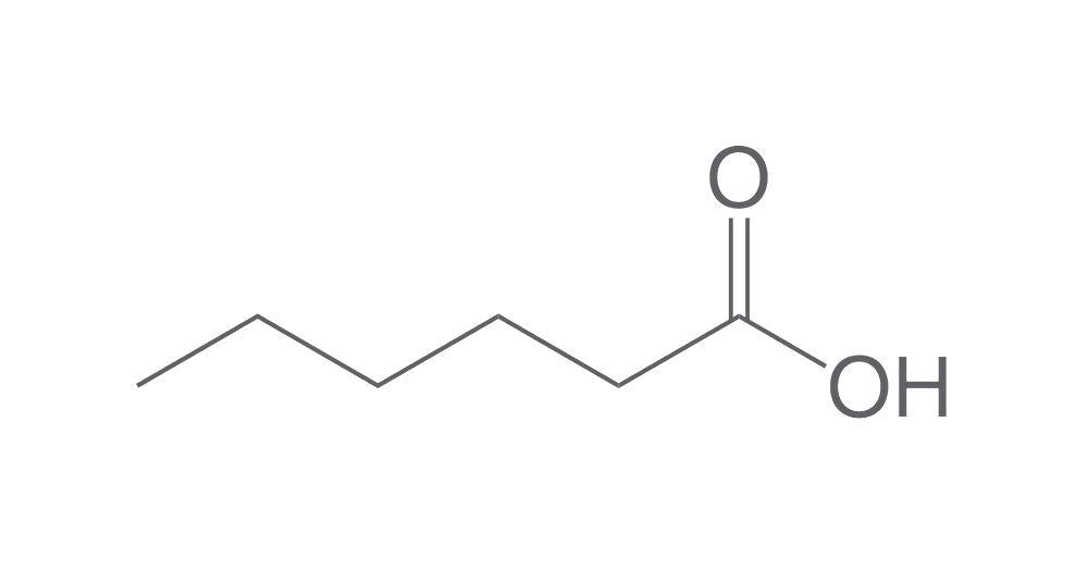 Capronsäure, min. 98 %, zur Synthese (2,5 Liter)