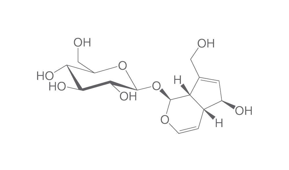 Aucubin, ROTICHROM® CHR  >97 % (250 mg)