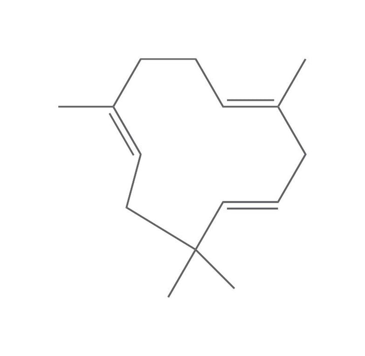 alpha-Humulen, ROTICHROM® GC (100 mg)