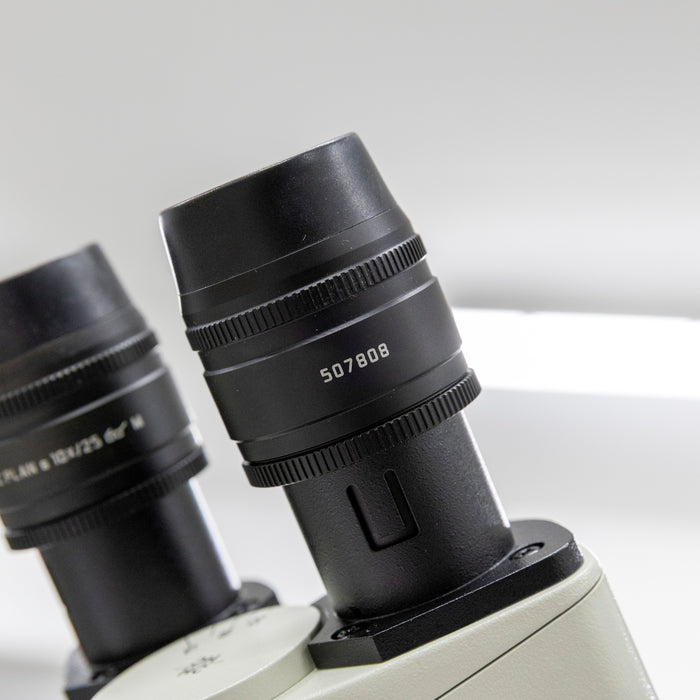 Leica DMI6000 B – Automated Inverted Fluorescence Microscope