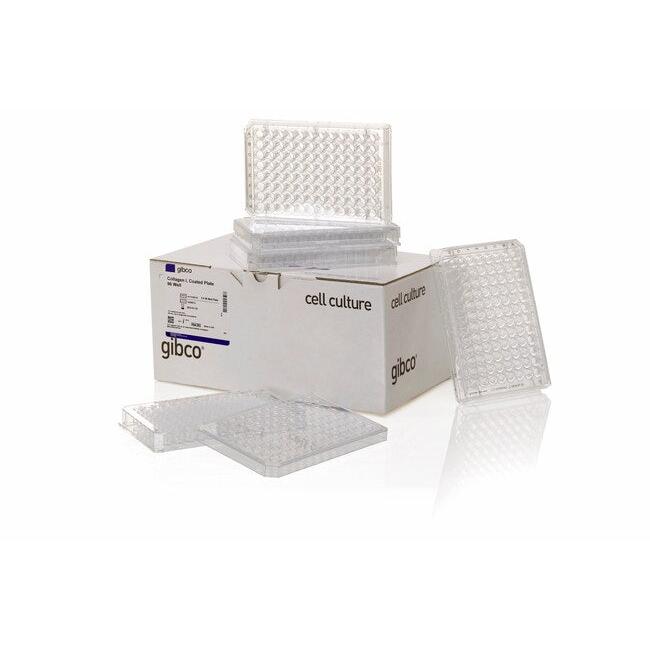 Thermo Scientific Gibco 96-well, Collagen Type I-Coated, Microplates F-Boden [5 Stk. /MHD 2027]
