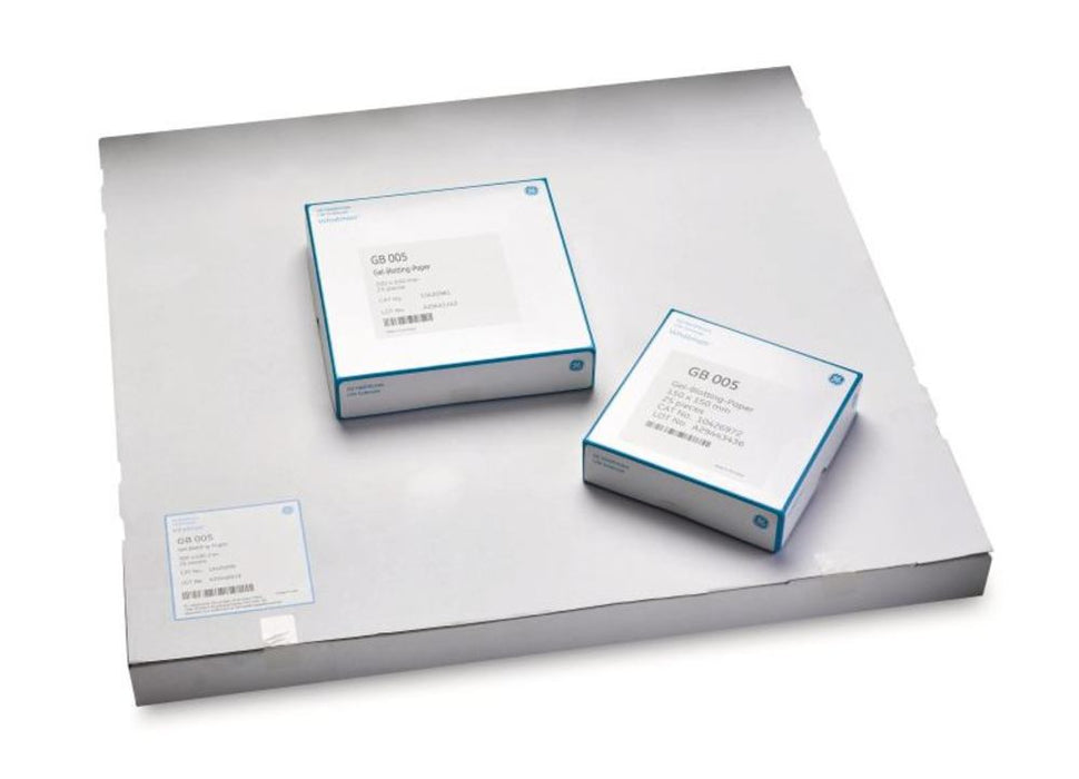 Gel-Blotting-Papiere (GB005), D 1,5 mm, 580 x 580 mm, im Karton Whatman® (25 Blatt)