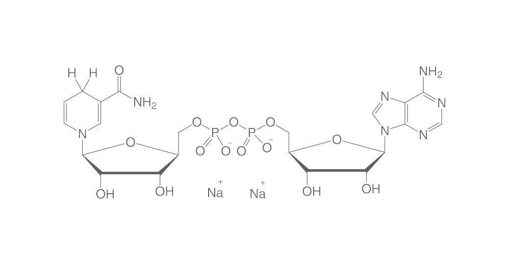 NADH-Dinatriumsalz, min. 84 %, für die Biochemie (5 g)