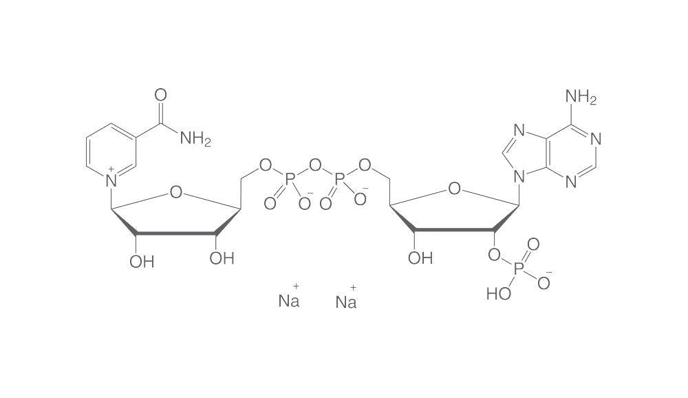 NADP-Dinatriumsalz, min. 85 %, für die Biochemie (1 g)
