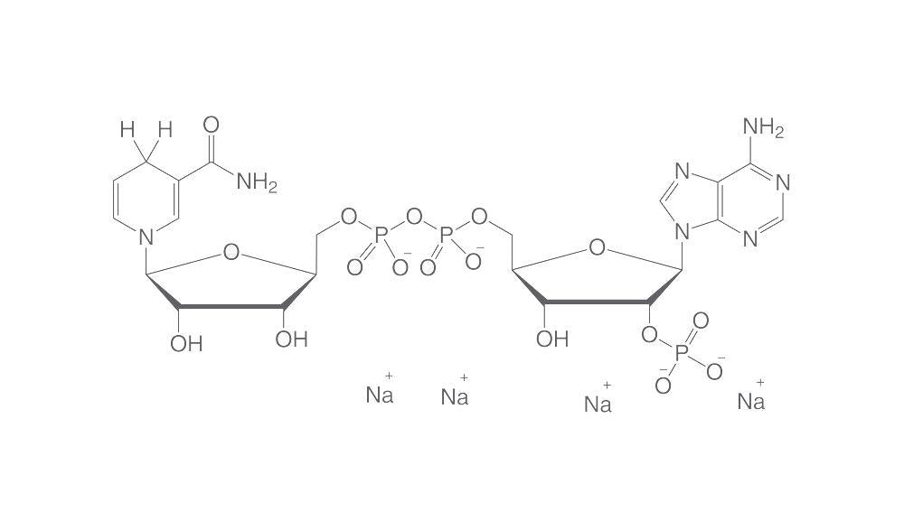 NADPH-Tetranatriumsalz, min. 95 %, für die Biochemie (500 mg)