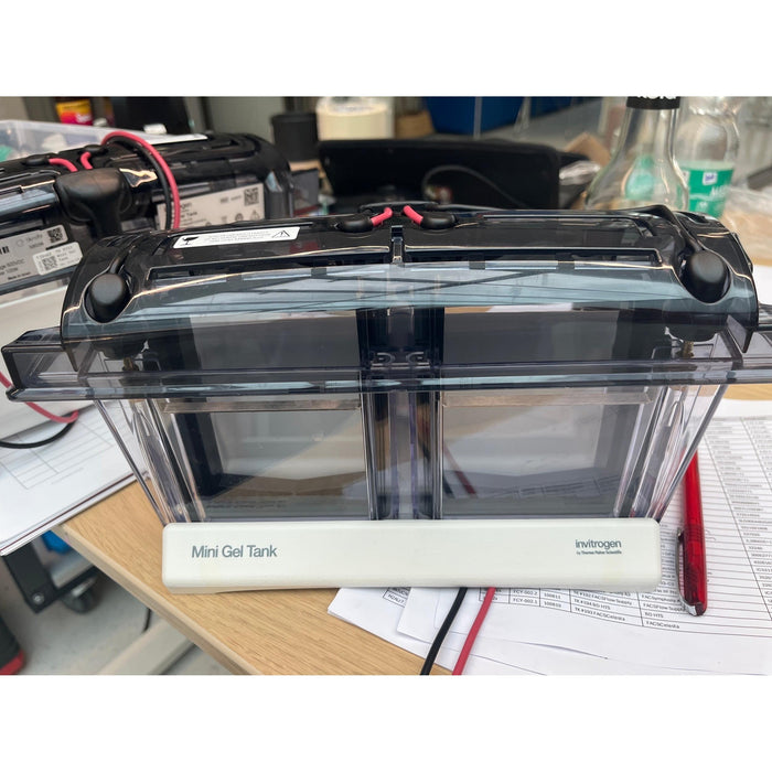 Thermo Scientific Mini Gel Tank