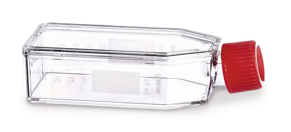 Zellkulturflaschen mit Filter-Schraubv., PS, steril, Membran-Verschluss, 50 ml 20 x 10 (200 Stk.)
