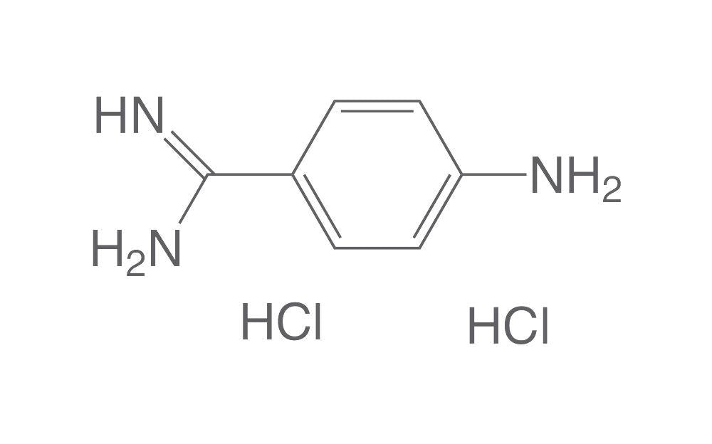 4-Aminobenzamidin-Dihydrochlorid, min. 98 %, für die Biochemie (1 g)