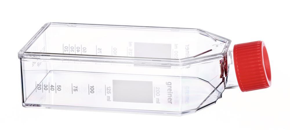 Zellkulturflaschen 250 ml, PS, steril 24 x 5 (120 Stk.)