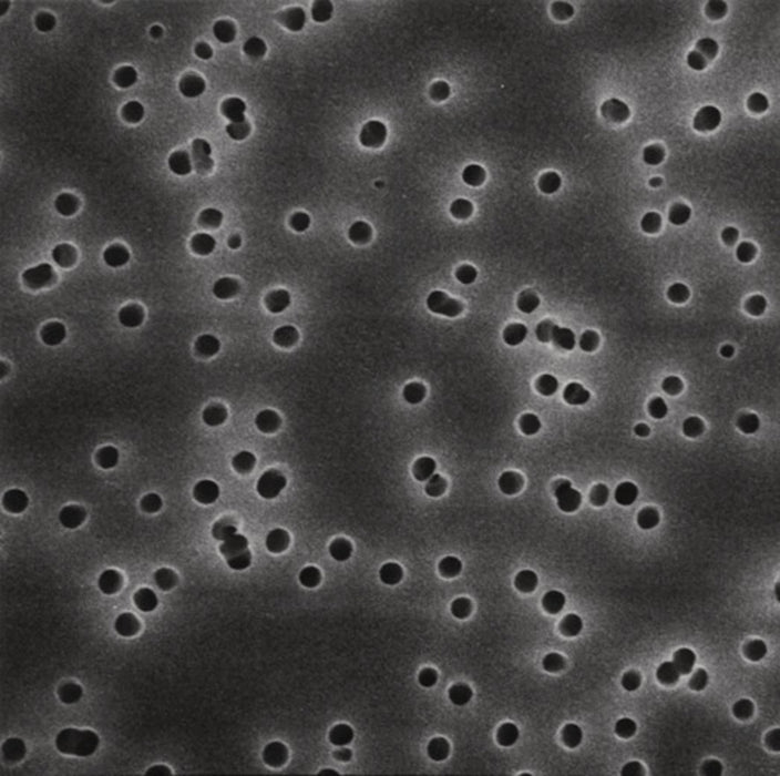 Polycarbonat-Membranfilter, weiß, Ø 90 mm, Porengröße 0,4 µm (30 Stk.)