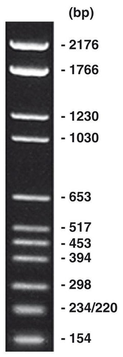 pBR328 Mix I, DNA-Marker (lyophil.) + Gelladepuffer nicht vorgefärbt (50 µg)