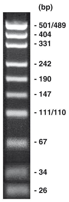 pUC19/Msp I, DNA-Marker (lyophil.) + Gelladepuffer nicht vorgefärbt 1 x 50 µg (50 µg)