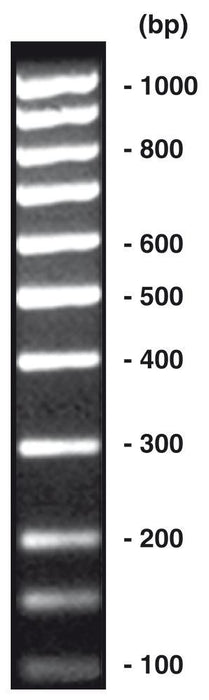 100 bp-DNA-Leiter äquimolar, DNA-Leiter (lyophil.) + Gelladepuffer nicht vorgefärbt 4 x 50 µg (200 µg)