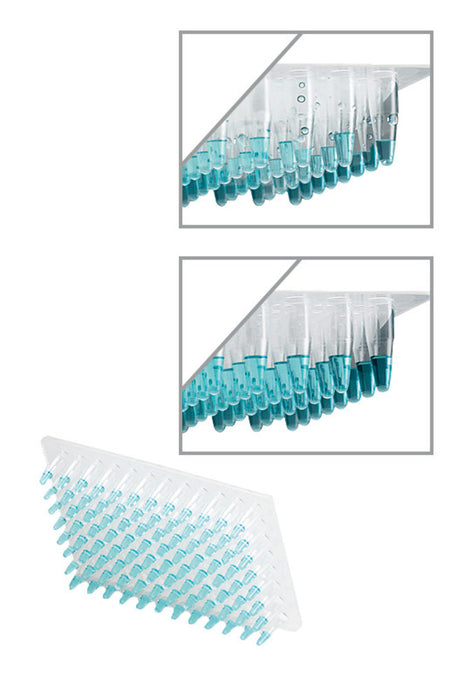Adapter für PCR-Platten-Zentrifuge C1000, (2 Stk.)