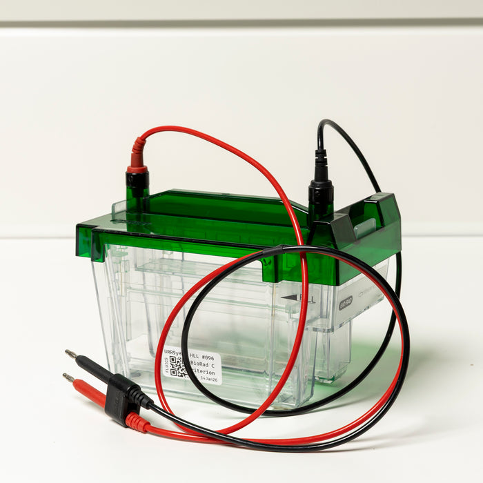 Bio-Rad Criterion Cell Elektrophoresekammer