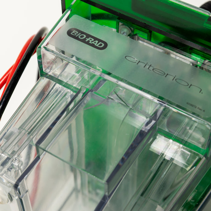 Bio-Rad Criterion Cell Elektrophoresekammer