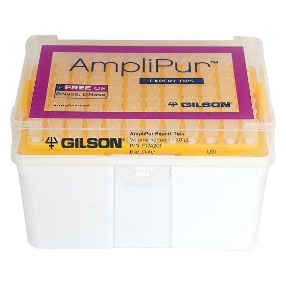 AMPLIPUR EXPERT TIPS FT20 (960)<br>[960 Stk. / MHD2024]