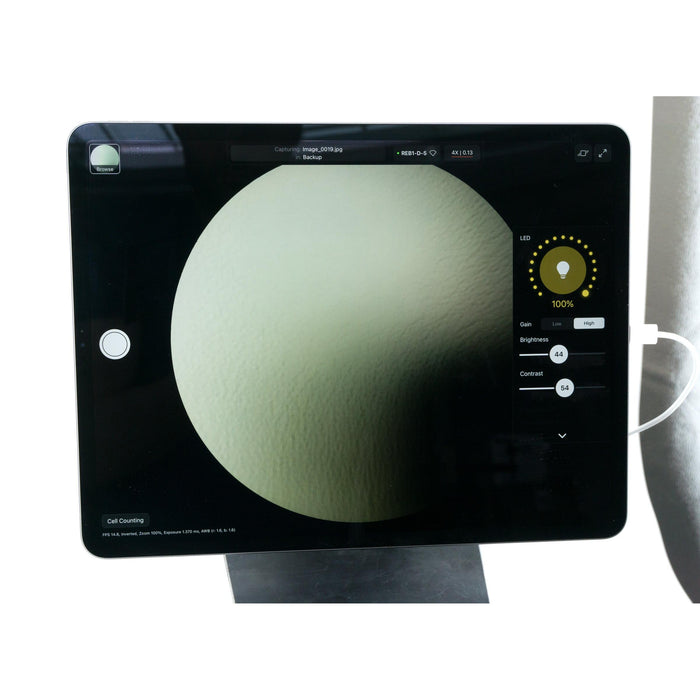 Lebendzellmikroskop Echo Rebel REB-01-D (2020)