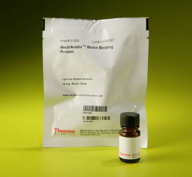 Thermo Scientific™ NeutrAvidin Protein (10 mg)
