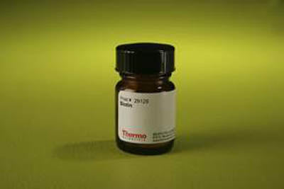 Thermo Scientific™ Pierce™ Bovine Serum Albumin, Biotinylated (25 mg)