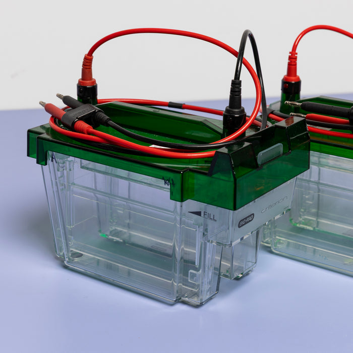 Bio-Rad Criterion Cell Elektrophoresekammer
