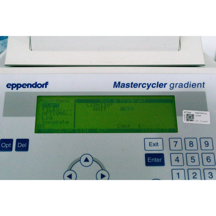 PCR-Thermocycler Eppendorf Mastercycler gradient